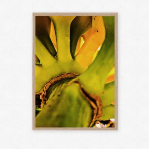 Fotoplakat af Naja Munch Agerskov