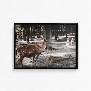 Fotoplakat af Rasmus Seiffert