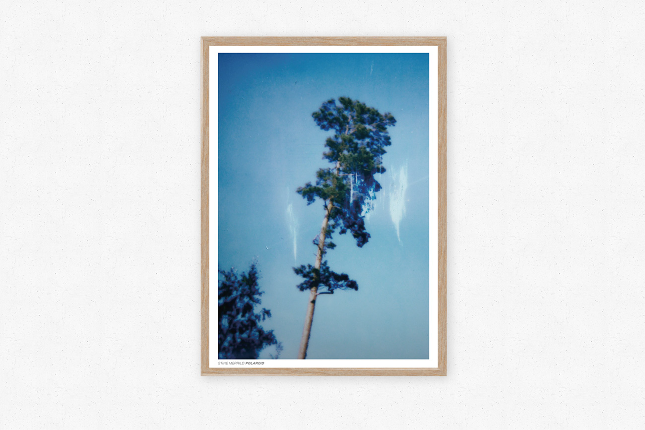Polarodi fotoplakat fra Stine Merrild