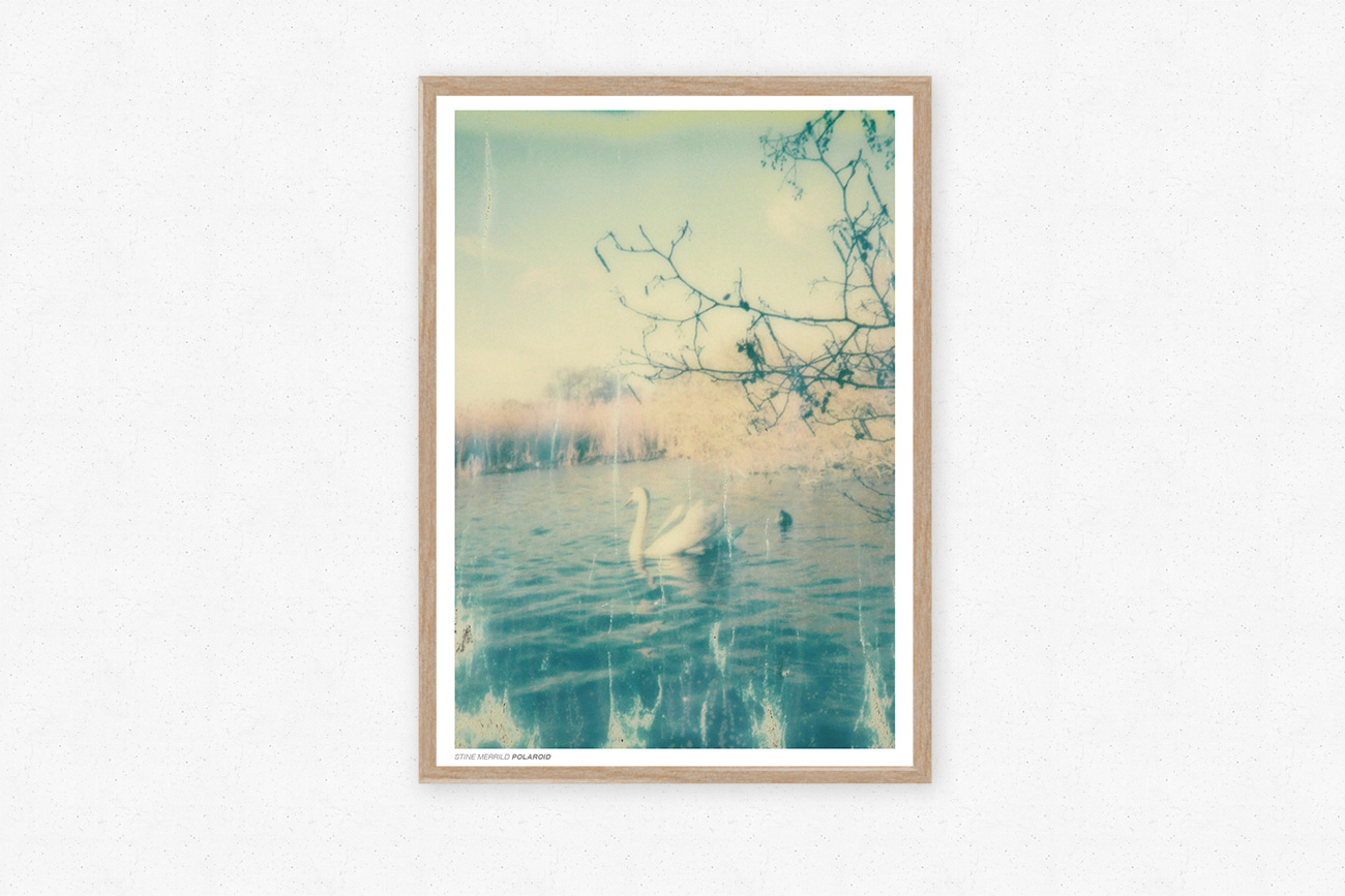 Polarodi fotoplakat fra Stine Merrild